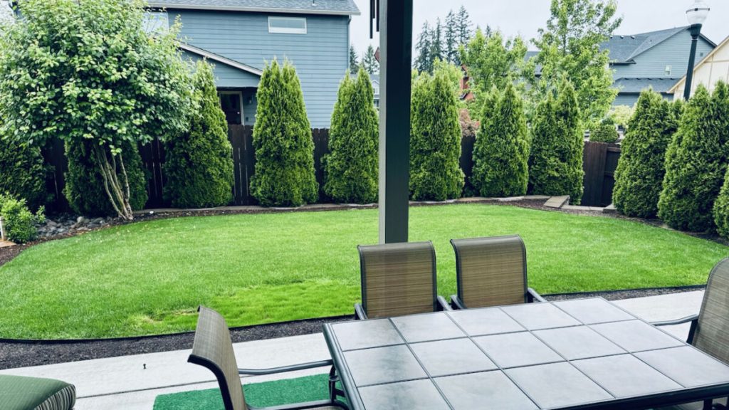 Hardscaping Services
